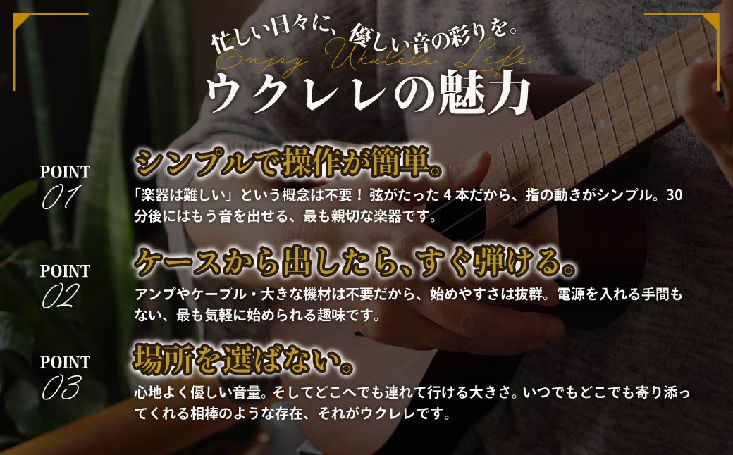 ウクレレ ゼファー アルト コンサート 杉｜ 国産 楽器 音楽 弦楽器 演奏 ウクレレ ベース おすすめ 初心者 入門 上級者 チューニング ソプラノ アルト 群馬県 前橋市