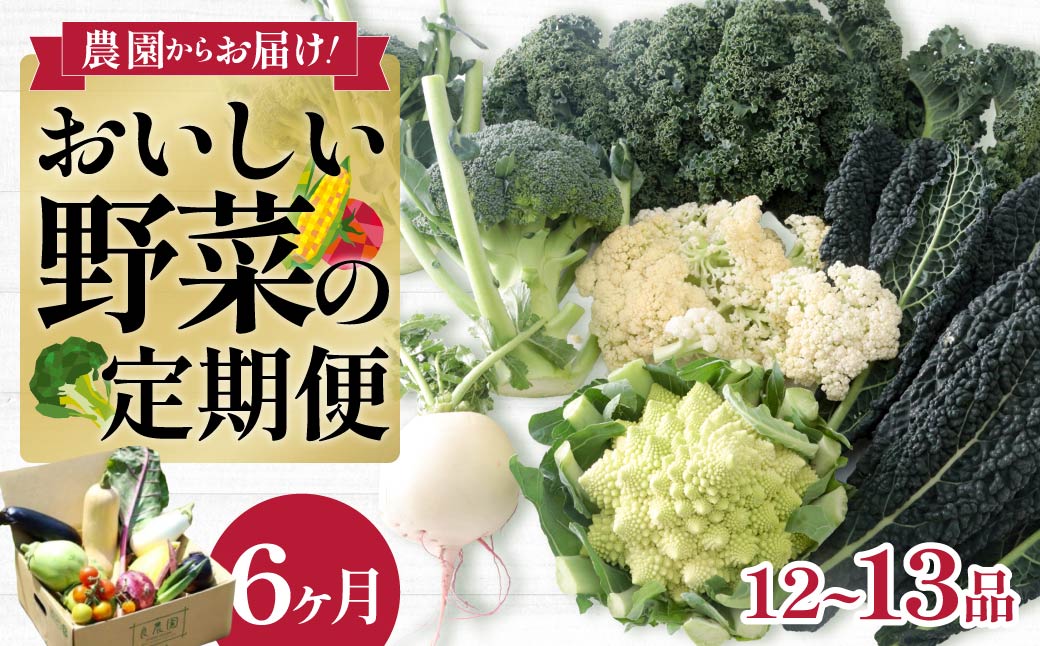 野菜ソムリエが送る 採れたて！良農園のおいしい野菜の定期便【年6回：偶数月配送】