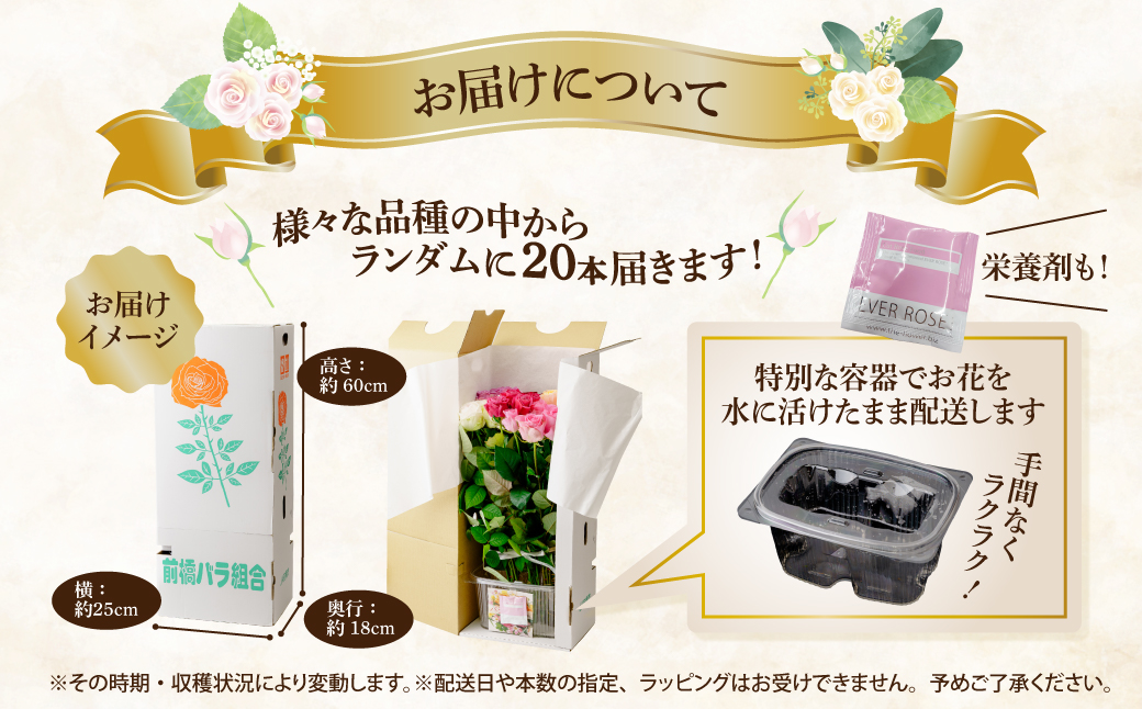 前橋産バラ (お任せ20本)｜ばら バラ 花 プレゼント 贈答 群馬県 前橋市