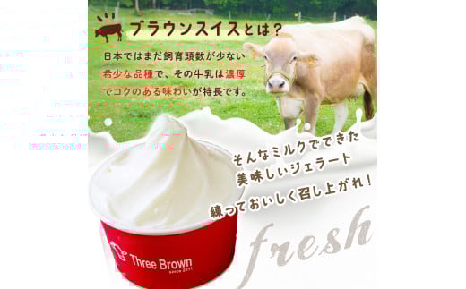 ジェラート 幻の牛の生乳から作る 無添加ジェラート 12個 ｜ジェラート 無添加 ミルク いちご ブルーベリー 旬の味 お任せフレーバー 旬 生乳 高級 美味しい 人気 リッチ 極上 乳製品 新鮮 定番 なめらか 自然 アイス 冷たい ミルク デザート おやつ 贈り物 贈答 食後 口直し