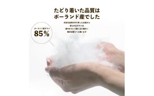 夏用羽毛布団 サマーケット ダウンケット シングルロング | 寝具 布団 ふとん 羽毛布団 羽毛 夏 夏用 掛け布団 綿 綿生地 ダックダウン ダウン ポーランド産 ポーランドダックダウン 手作り布団 日本製布団 日本製 手作り 涼しい 汗 ふかふか布団 職人仕立て 軽い シングルロング ダウンケット 父の日 群馬県 前橋市
