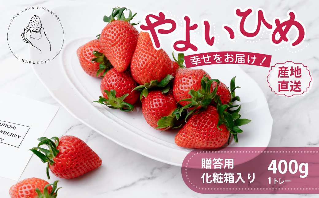 大粒完熟 群馬県産いちご「やよいひめ」400g×1 ｜コク 甘み 朝採れ やよいひめ 大粒 甘み 酸味 バランス 贈答用 新鮮 完熟 いちご 旬 苺 ストロベリー 産地直送 果汁 甘い あまい 人気 高評価 減農薬 美容 健康 旨味 高糖度 ごほうび 群馬県 前橋市