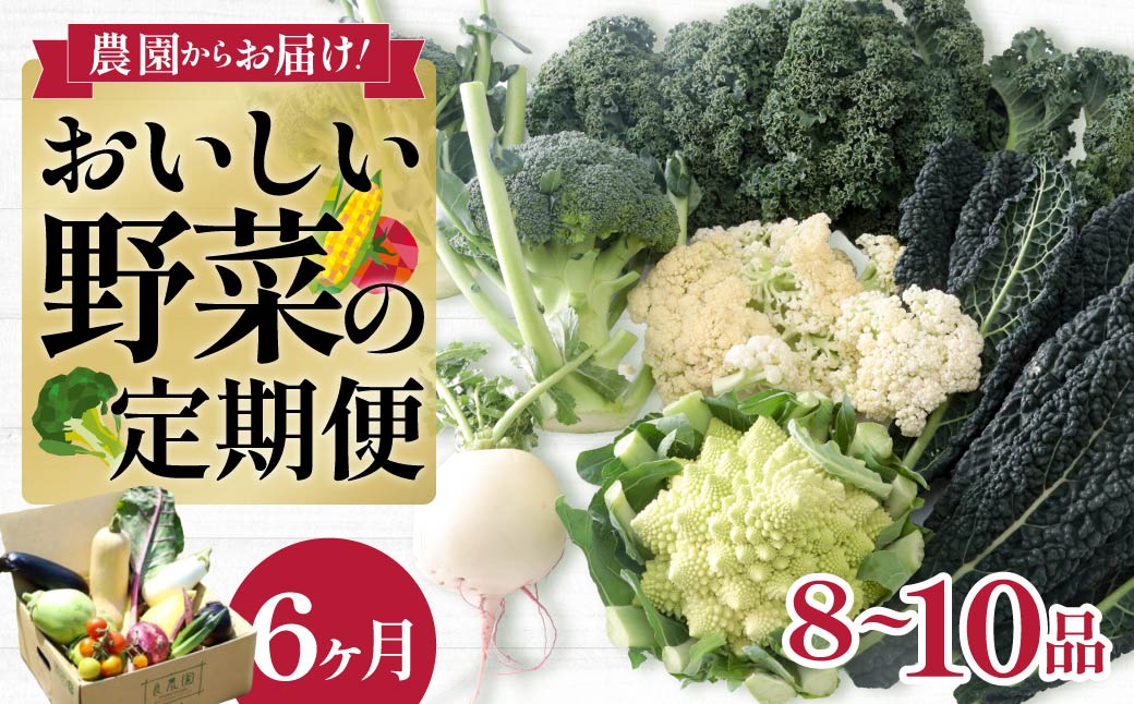 西洋野菜 一般野菜 旬野菜セット 8～10品 定期便 6ヶ月 | 減農薬 野菜ソムリエ 旬野菜 イタリア野菜 珍しい 食べ比べ 生野菜 サラダ 野菜セット 詰め合わせ ギフト レシピ 贈り物 国産 朝採れ 新鮮野菜 季節の野菜 産直 食品ギフト 手土産 良農園 群馬県 前橋市