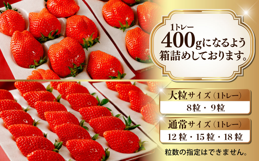 ãã¡ã ãããã²ã 400gÃ2 3ç®± èš2,400g 2027幎 å
è¡äºçŽïœææ¡ã ãã¿ã€ãé«å質 ãã£ã·ã èŽççš æ°é®® å®ç ãã¡ã æ¬ èº ã¹ããããªãŒ é«çŽ å€§ç² ç£å°çŽé ææ± çã ããŸã äººæ° é«è©äŸ¡ æžèŸ²è¬ ææ©è¥æ é«ç³åºŠ ãã»ãã³ ãã¬ãŒã³ã 矀銬ç åæ©åž