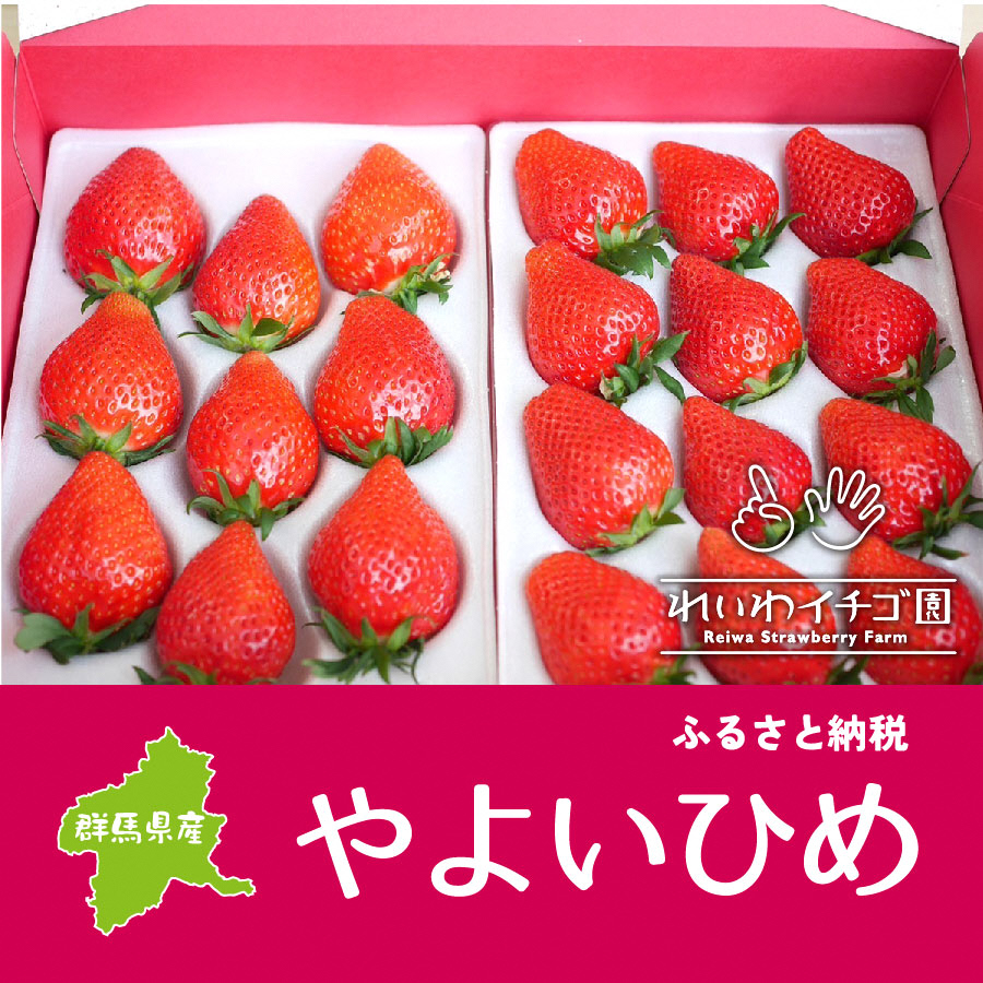 R3-13　「やよいひめ」贈答用いちご８００ｇ｜朝採れ やよいひめ たっぷり 贈答用 新鮮 特大 完熟 いちご 旬 苺 ストロベリー 高級 産地直送 果汁 甘い あまい 人気 高評価 減農薬 有機肥料 生産 生産量 産地 王国 高糖度 エコファーマー ごほうび プレゼント 群馬県 前橋市 