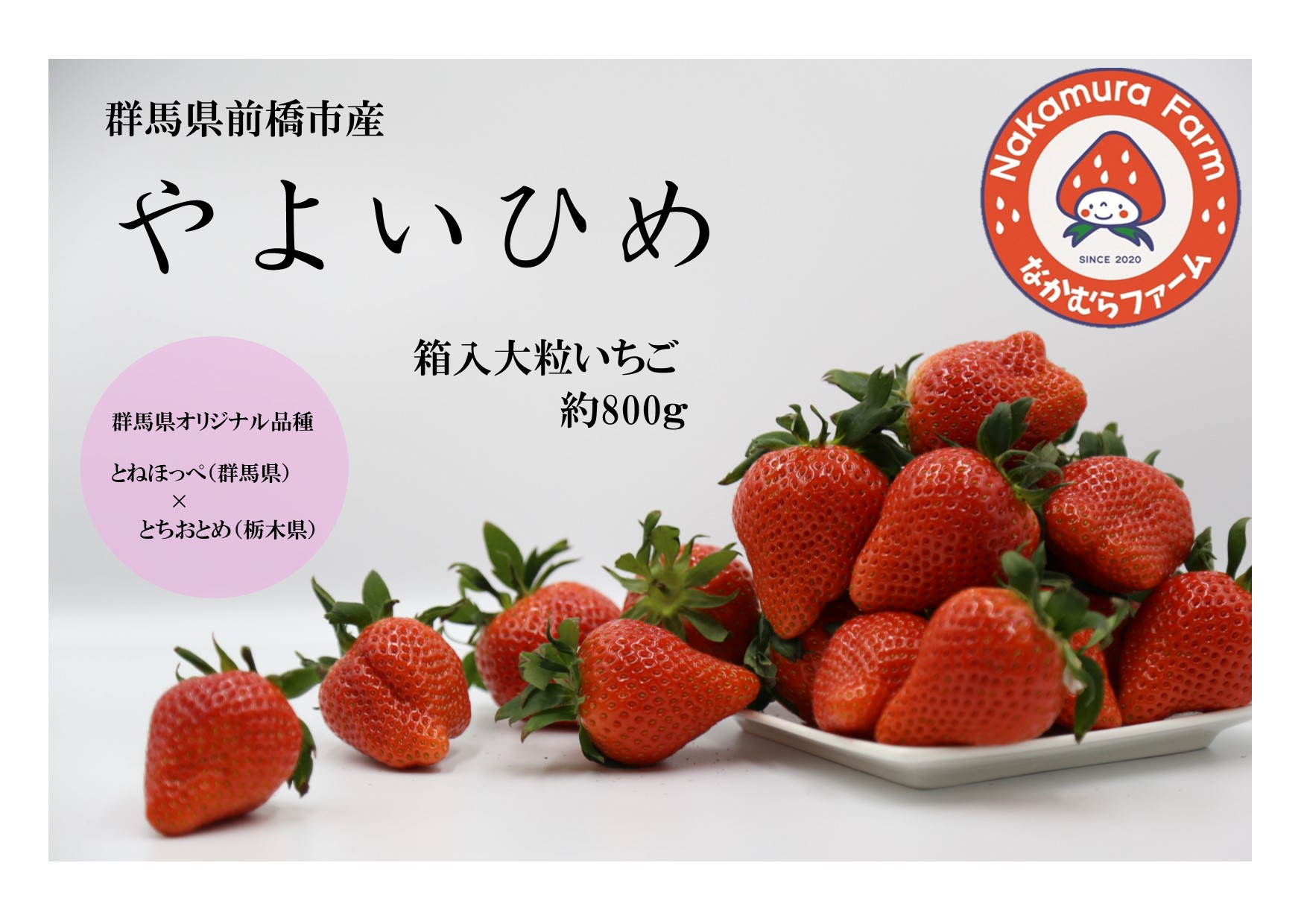 いちご 『やよいひめ』 約800g【2025年群馬県いちご品評会入賞！】