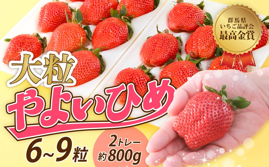 【大粒サイズ】いちご やよいひめ 贅沢時間 約800g 群馬県いちご品評会最高金賞受賞 2027年 先行予約 | 非日常 朝採れ やみつき高品質 たっぷり 贈答用 新鮮 完熟 いちご 旬 苺 ストロベリー 高級 産地直送 果汁 甘い あまい 人気 高評価 贈答いちご 高糖度 ごほうび プレゼント 桑原いちご園 群馬県 前橋市