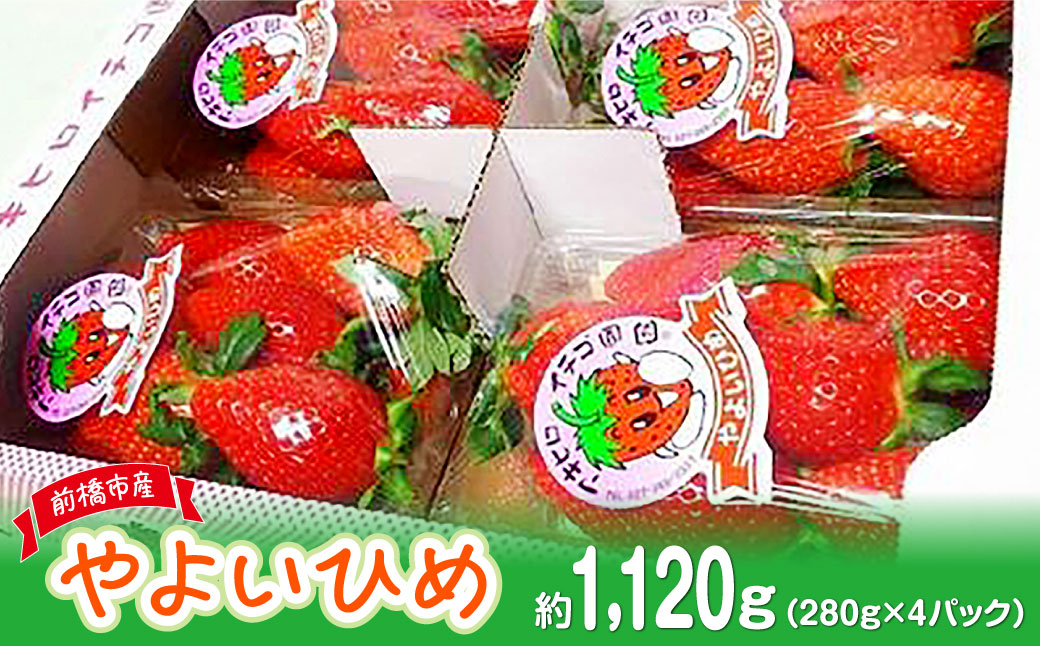 【2026年 先行予約】家庭用いちご　やよいひめ（群馬県オリジナル品種のイチゴ）約280g×４パック（箱入り）