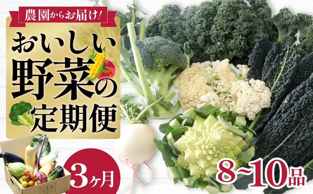 西洋野菜 一般野菜 旬野菜セット 8～10品 定期便 3ヶ月 | 減農薬 野菜ソムリエ 旬野菜 イタリア野菜 珍しい 食べ比べ 生野菜 サラダ 野菜セット 詰め合わせ ギフト レシピ 贈り物 国産 朝採れ 新鮮野菜 季節の野菜 産直 食品ギフト 手土産 良農園 群馬県 前橋市