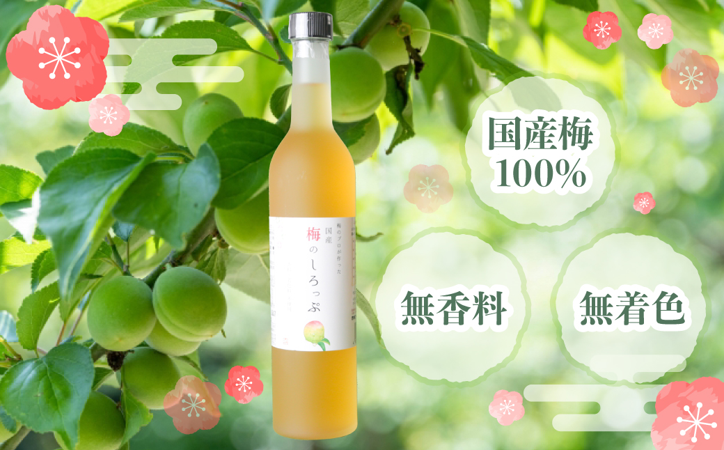 縺吶▲縺阪j辷ス繧縺九↑蜻ウス槫嵜逕」 譴縺ョ縺励m縺」縺キ 2譛ャ繧サ繝繝