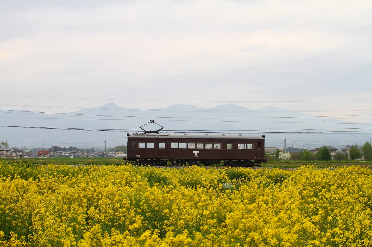 N-05 上毛電鉄の特別な電車「デハ１０１」の貸切り