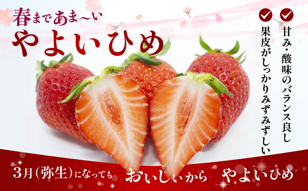 家庭用いちご　やよいひめ（群馬県オリジナル品種のイチゴ）約280g×４パック（箱入り）