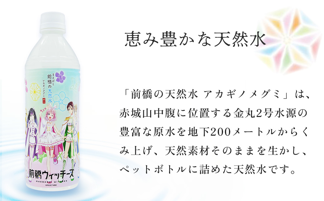 水 ミネラルウォーター 前橋ウィッチーズラベル 500ml 24本×1箱 24本 合計12L | 飲料水 みず ナチュラル ミネラルウォーター 天然水 軟水 長期保存 備蓄 防災  水 ミネラルウォーター ペットボトル 長期保存水 備蓄水 備蓄用 非常災害備蓄用 災害用 避難用品 防災グッズ 国産 群馬県 前橋市