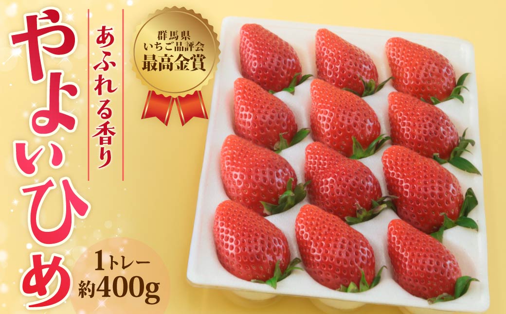 いちご やよいひめ 約400g 群馬県いちご品評会最高金賞受賞 2027年 先行予約 | 感動体験 非日常 朝採れ やみつき高品質 たっぷり 贈答用 新鮮 完熟 いちご 旬 苺 ストロベリー 高級 産地直送 果汁 甘い あまい 人気 高評価 贈答いちご 高糖度 ごほうび プレゼント 桑原いちご園 群馬県 前橋市