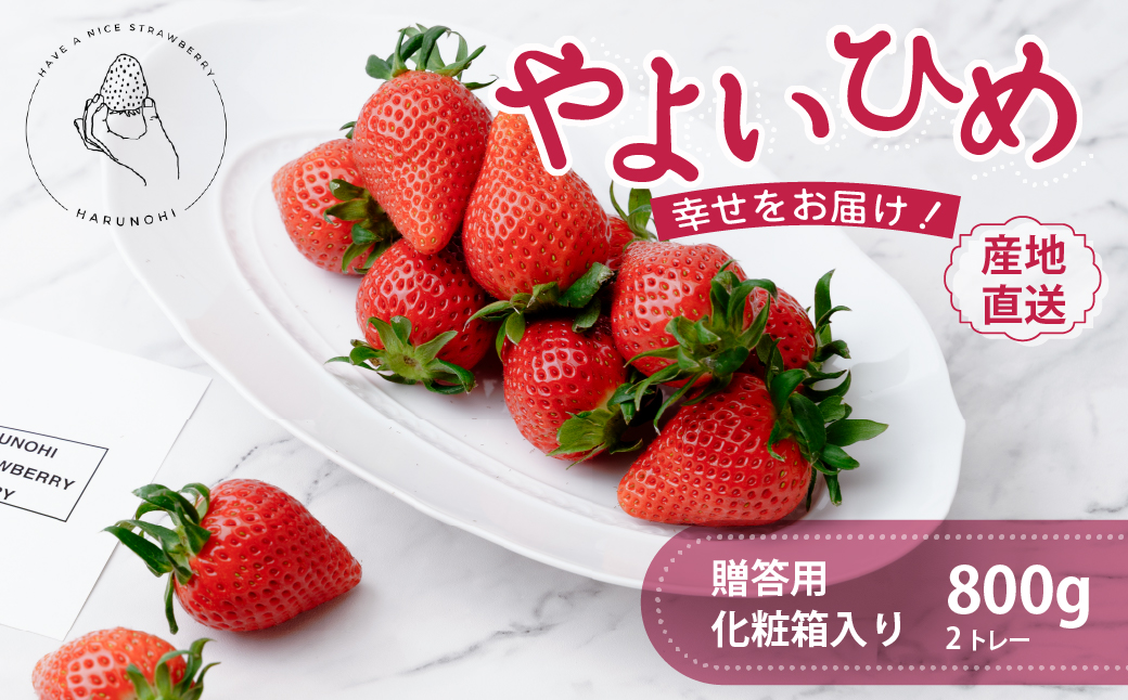 大粒完熟　群馬県産いちご「やよいひめ」400g×2 計800g 2027年 先行予約｜コク 甘み 朝採れ やよいひめ 大粒 甘み 酸味 バランス 贈答用 新鮮 完熟 いちご 旬 苺 ストロベリー 産地直送 果汁 甘い あまい 人気 高評価 減農薬 美容 健康 旨味 高糖度 ごほうび 群馬県 前橋市