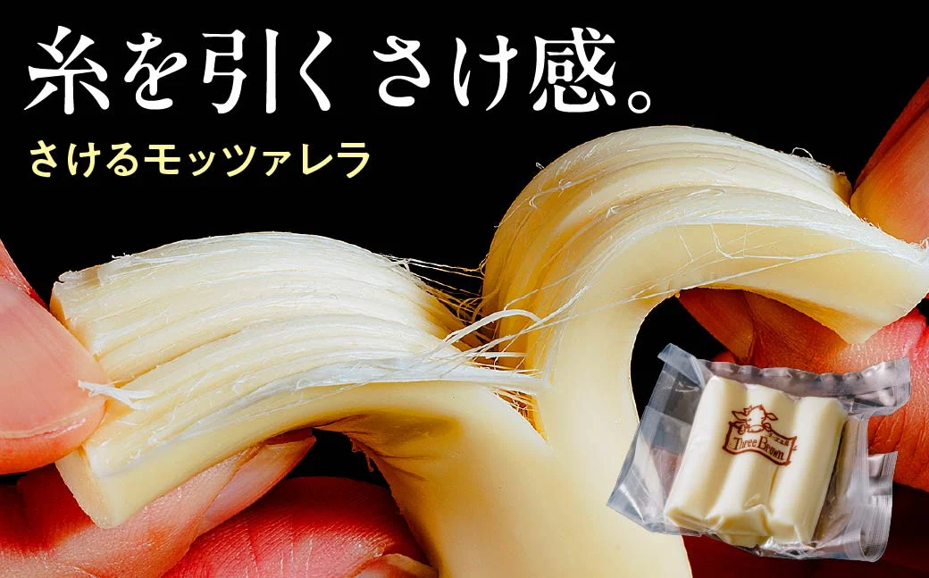 ããŒãºå·¥æ¿Three Brown ã¢ããã¡ã¬ã©ã»ã«ãã§ã«ããã»ãã«ã¯ãžã£ã ã®ã»ãã | ããŒãº ã»ãã ããŒãºè©°ãåãã ããŒãº å·¥æ¿ ã¢ããã¡ã¬ã© ã«ãã§ã«ãã çãã ç çä¹³ ãããããŒãº ããŒãããŒãº èªå®¶è£œ æäœã è©°åãã ãåãå¯ã äººæ° ä¿åæäžäœ¿çš ãæ³æ® ãã¬ãŒã³ã èŽç ã®ãã é£ã¹æ¯ã¹ 矀銬ç åæ©åž