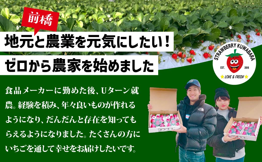 【4ヶ月定期便】いちご やよいひめ 贅沢時間 約800g 群馬県いちご品評会最高金賞受賞 2027年 先行予約 | 非日常 朝採れ やみつき高品質 たっぷり 贈答用 新鮮 完熟 いちご 旬 苺 ストロベリー 高級 産地直送 果汁 甘い あまい 人気 高評価 贈答いちご 高糖度 ごほうび プレゼント 桑原いちご園 群馬県 前橋市