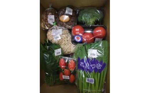 襍、蝓主漉鮗薙〒閧イ縺」縺溷ュ」遽縺ョ驥手除 | 驥手除繧サ繝繝 譁ー魄ョ 譌ャ驥手除 譛昴←繧 霎イ螳カ逶エ騾 譌ャ 驥手除 魄ョ蠎ヲ 襍、蝓主アア鮗 鄒、鬥ャ驥手除 蝗ス逕」驥手除 隧ー繧∝粋繧上○ 驥手除隧ー蜷医○ 縺翫∪縺九○驥手除 驥手除萓ソ 縺雁叙繧雁ッ縺 逕」逶エ驥手除 鄒、鬥ャ逵 蜑肴ゥ句ク