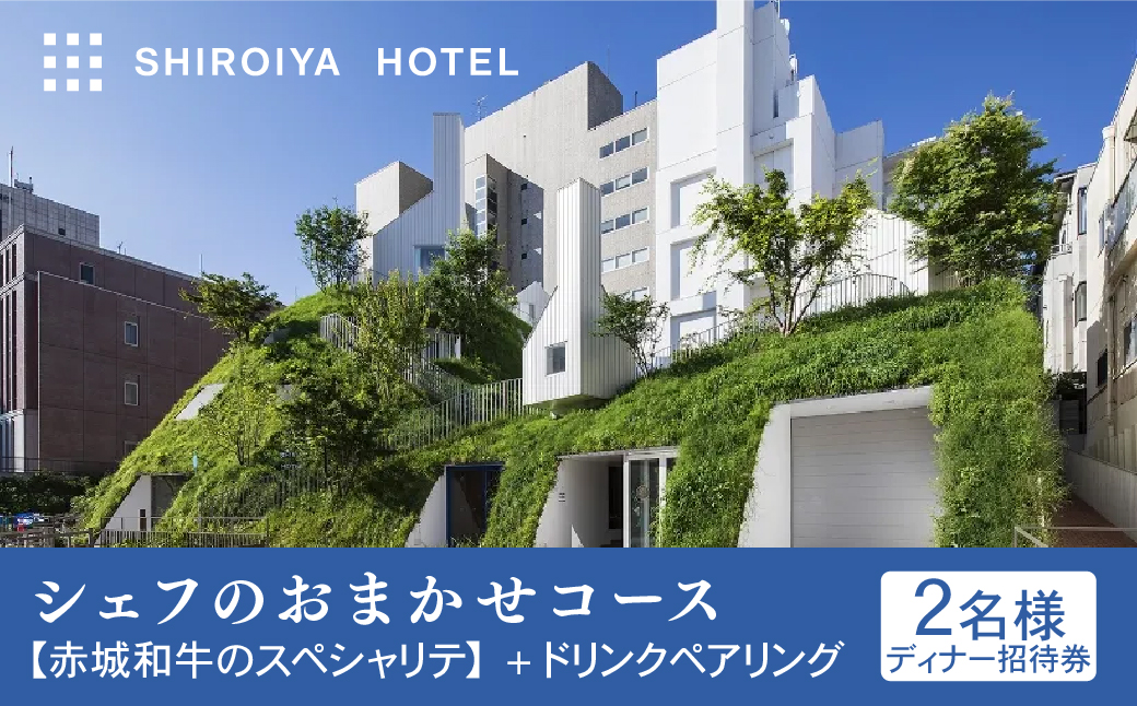 白井屋 ザ・レストラン 2名様ディナー招待券 シェフのおまかせコース【赤城和牛のスペシャリテ】+ドリンクペアリング｜高級 美食 五感 魅了 食体験 ホテル レストラン 赤城和牛 フランス料理 オープンキッチン アート ホテル ミシュラン フロリレージュ リノベーション ホテル 前橋市 群馬県