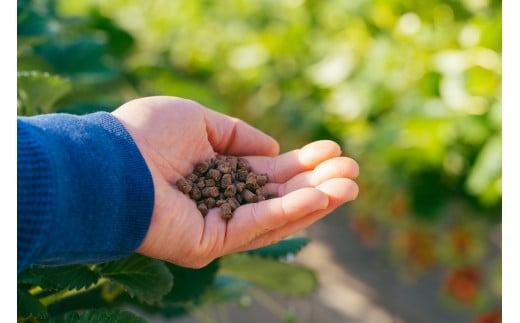 ã2026幎 å
è¡äºçŽããã¡ã ãããã²ã çŽ800g 矀銬çãã¡ãåè©äŒæé«éè³ïœææ¡ã ãã¿ã€ãé«å質 ãã£ã·ã èŽççš æ°é®® å®ç ãã¡ã æ¬ èº ã¹ããããªãŒ é«çŽ å€§ç² ç£å°çŽé ææ± çã ããŸã äººæ° é«è©äŸ¡ æžèŸ²è¬ ææ©è¥æ é«ç³åºŠ ãã»ãã³ ãã¬ãŒã³ã 矀銬ç åæ©åž