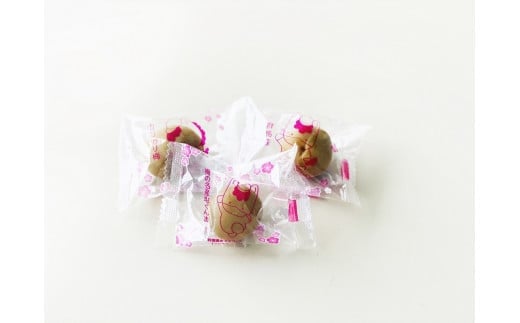 群馬県産の梅にこだわった逸品「ぐんまの甘梅」  | 梅 うめ カリカリ梅 青梅 国産 おやつ おつまみ 駄菓子 甘酸っぱい 個包装 前橋市 群馬県