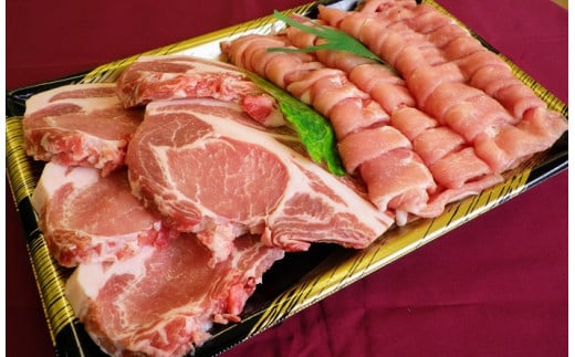 前橋産上州麦豚セット しゃぶしゃぶ･焼肉用300g ステーキ肉100g 3枚 計600g | しゃぶしゃぶ 焼肉 ステーキ 薄切り 豚肉 ぶた 年末 家族 鍋 ロース バラ 人気 ブランド豚 肉 ミート 肉じゃが 高評価 人気 小分け 超人気 ブランド 豚 切り落し スライス 赤身 脂 バランス 甘い 群馬県 前橋市