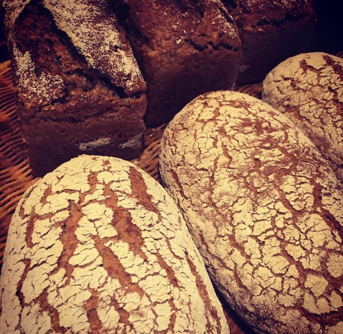 A-94ãæ¬§é¢šãã³ã»ãããïŒïœïŒçš®é¡