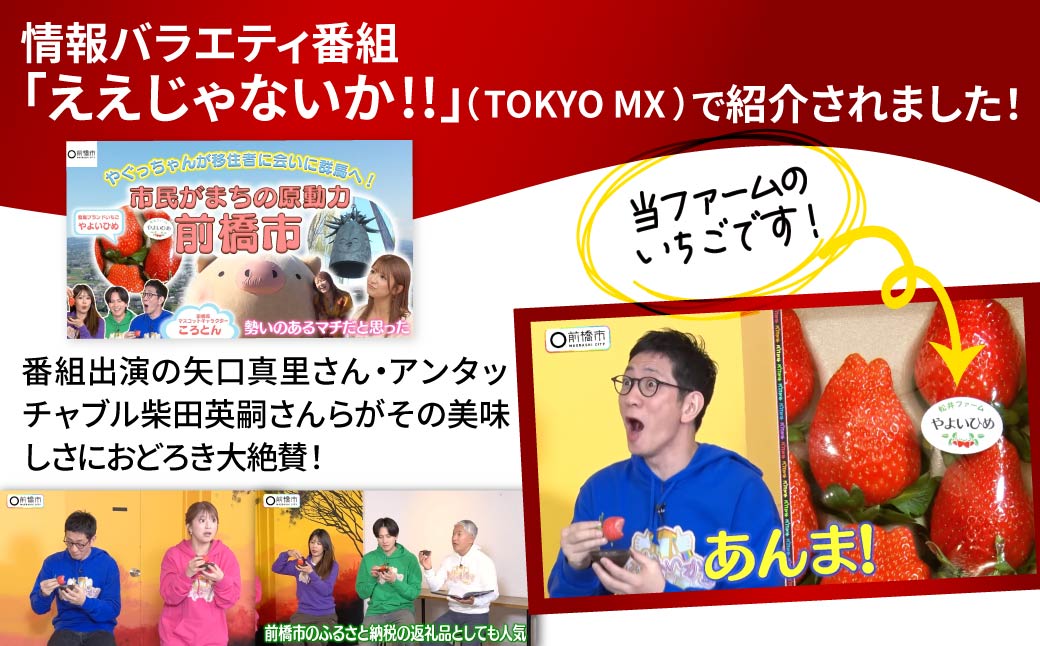 前橋市産いちご「やよいひめ」贈答用化粧箱入り