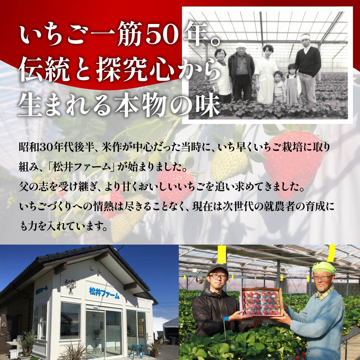 前橋市産　贈答用いちごと無添加ジャム３個詰め合わせセット 2027年 先行予約｜やよいひめ あまおとめ さちのか 紅ほっぺ おいCベリー 甘雫姫 スターナイト 星うらら コク 甘み 朝採れ 産地直送 贈り物 新鮮 完熟 旬 人気 高評価 群馬県 前橋市 R3-17