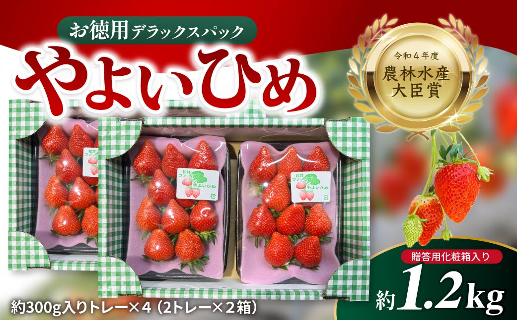 いちご お徳用 やよいひめ デラックスパック 約300g×4パック 2027年 先行予約 | イチゴ 苺 高品質 フルーツ たっぷり 新鮮 完熟 旬 ストロベリー 高級 産地直送 果汁 甘い あまい 人気 高評価 高糖度 ごほうび プレゼント 松井ファーム 群馬県 前橋市