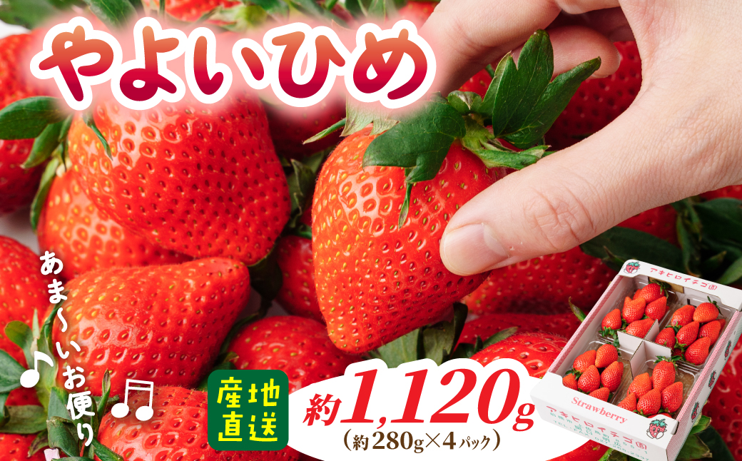 家庭用いちご　やよいひめ（群馬県オリジナル品種のイチゴ）約280g×４パック（箱入り）