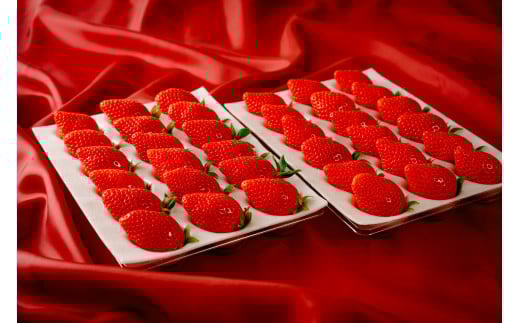 ã2026幎 å
è¡äºçŽããã¡ã ãããã²ã çŽ800g 矀銬çãã¡ãåè©äŒæé«éè³ïœææ¡ã ãã¿ã€ãé«å質 ãã£ã·ã èŽççš æ°é®® å®ç ãã¡ã æ¬ èº ã¹ããããªãŒ é«çŽ å€§ç² ç£å°çŽé ææ± çã ããŸã äººæ° é«è©äŸ¡ æžèŸ²è¬ ææ©è¥æ é«ç³åºŠ ãã»ãã³ ãã¬ãŒã³ã 矀銬ç åæ©åž