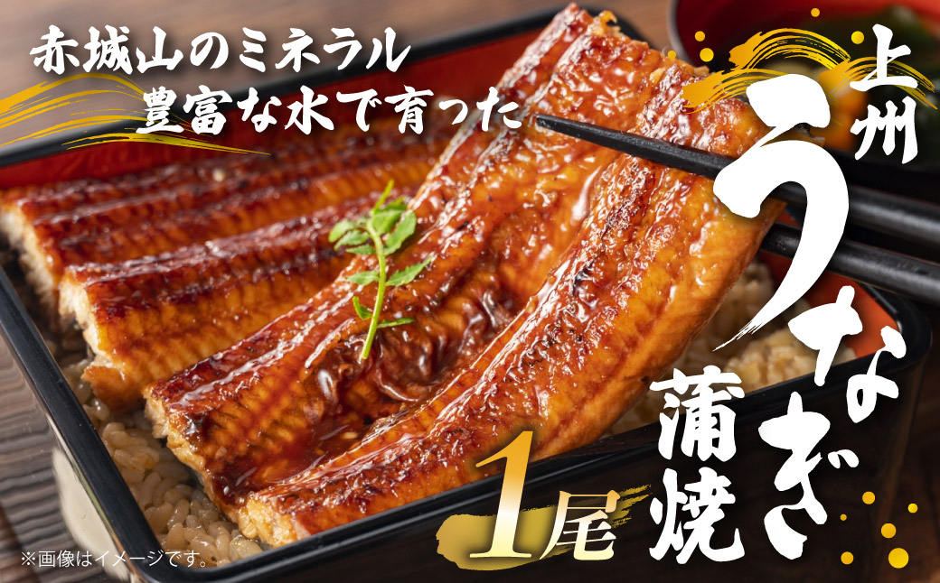 上州うなぎ蒲焼　1尾（150g以上）｜鰻 国産うなぎ蒲焼き うな重 ひつまぶし ウナギ 蒲焼 人気 おすすめ 贈答 化粧箱入り 簡単調理 丑の日 ご褒美 記念日 群馬県 前橋市