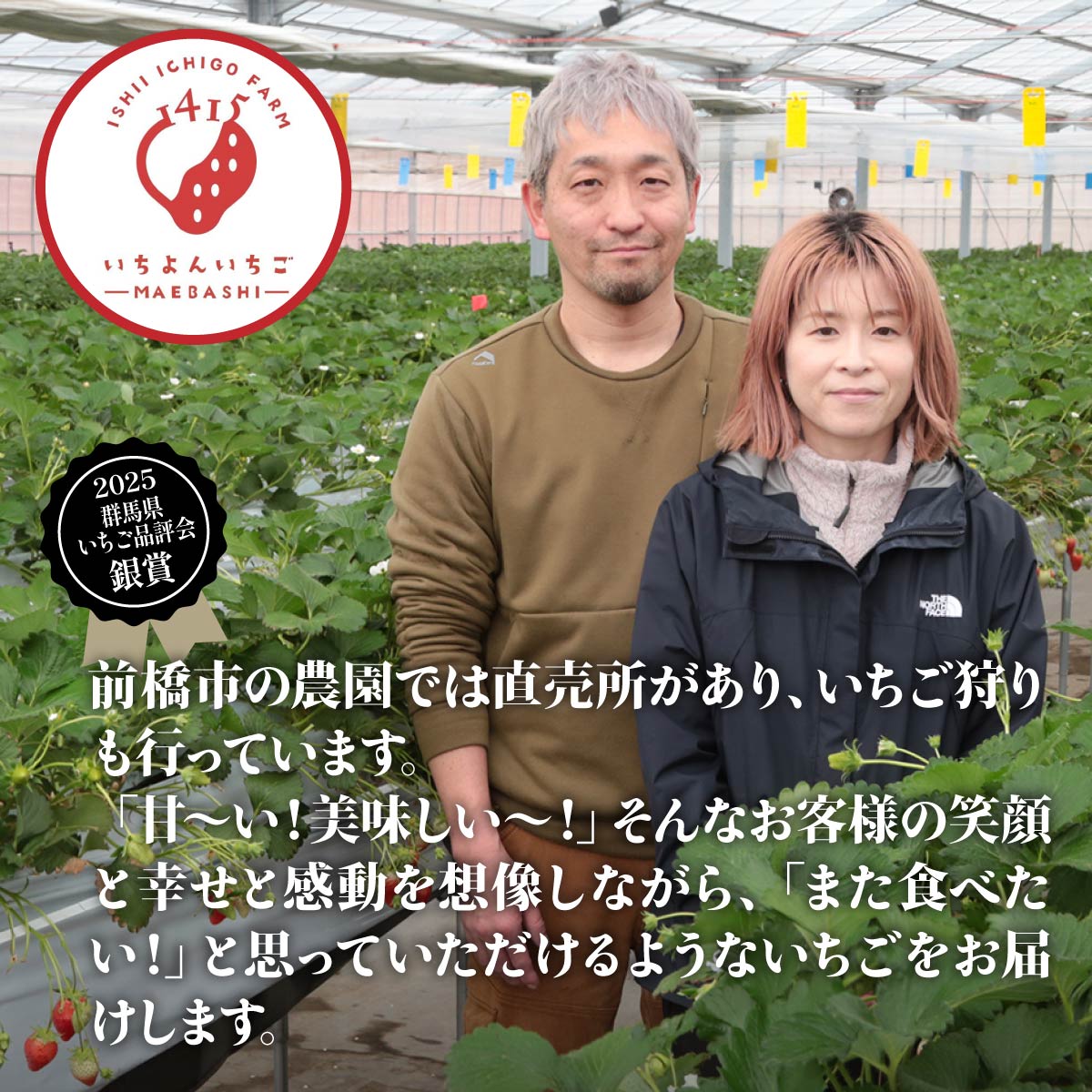 やよいひめ　贈答用化粧箱　1シート 2027年 先行予約 | いちご イチゴ 苺 やよいひめ 甘い おいしい ギフト プレゼント 贈答用 ご褒美 贅沢 群馬県 前橋市