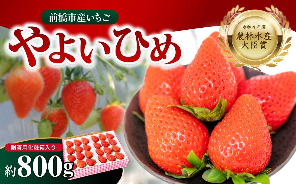 【2026年 先行予約】前橋市産いちご「やよいひめ」贈答用化粧箱入り