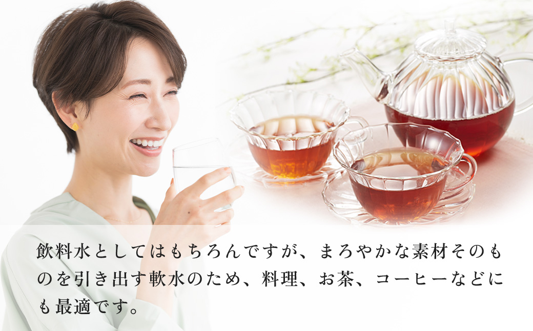 水 ミネラルウォーター 前橋ウィッチーズラベル 500ml 24本×1箱 24本 合計12L | 飲料水 みず ナチュラル ミネラルウォーター 天然水 軟水 長期保存 備蓄 防災  水 ミネラルウォーター ペットボトル 長期保存水 備蓄水 備蓄用 非常災害備蓄用 災害用 避難用品 防災グッズ 国産 群馬県 前橋市