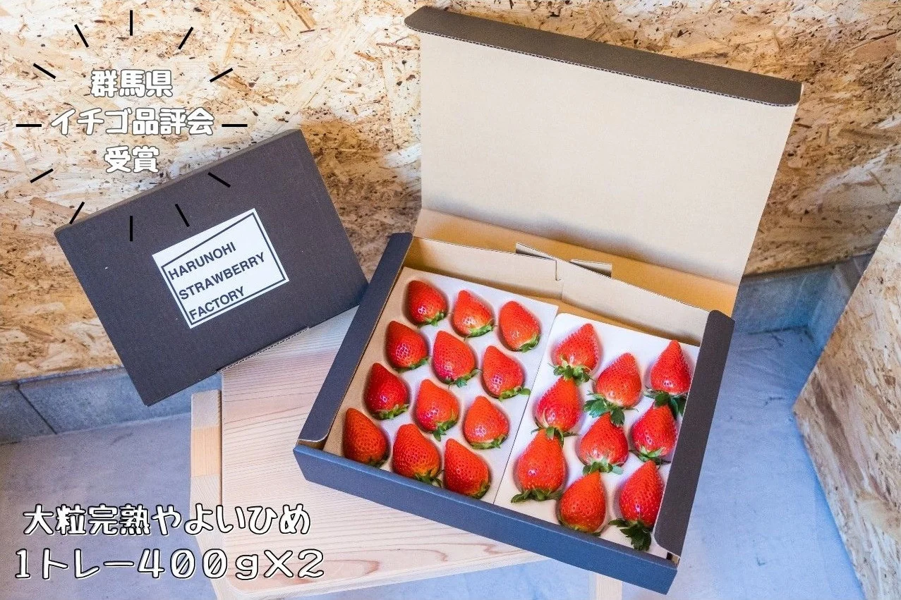 【2026年 先行予約】大粒完熟　群馬県産いちご「やよいひめ」400g×2 計800g｜コク 甘み 朝採れ やよいひめ 大粒 甘み 酸味 バランス 贈答用 新鮮 完熟 いちご 旬 苺 ストロベリー 産地直送 果汁 甘い あまい 人気 高評価 減農薬 美容 健康 旨味 高糖度 ごほうび 群馬県 前橋市