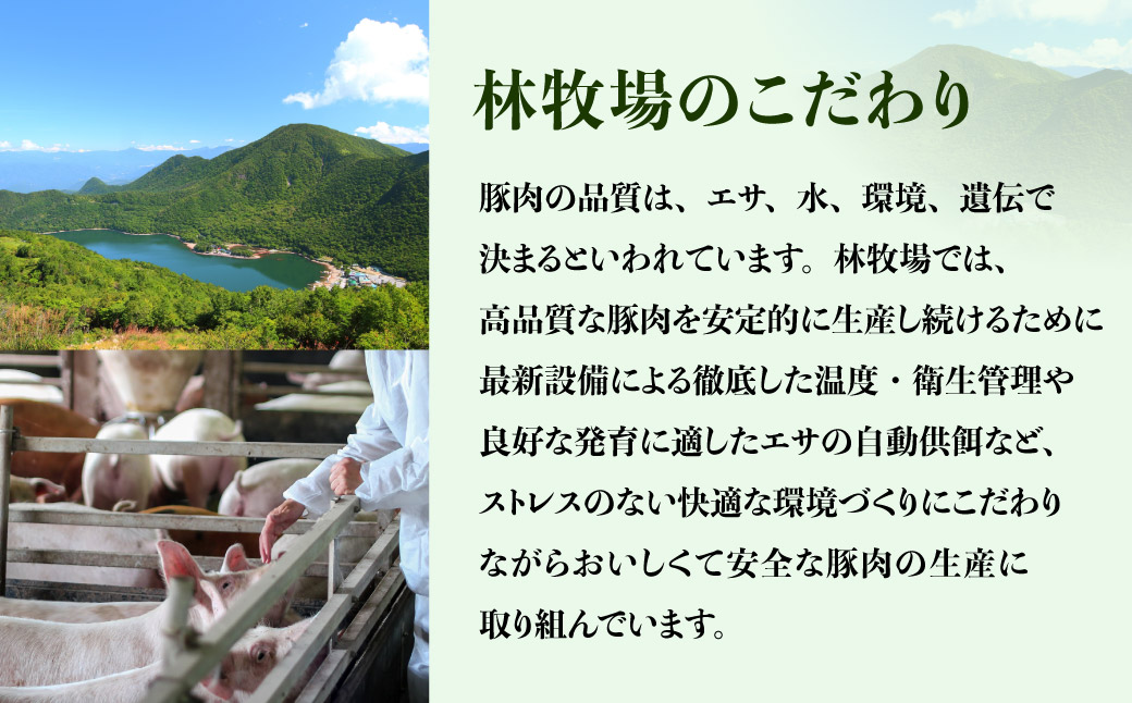 極上霜降り 肩ロースセット (肩ロース切り身×4枚･肩ローススライス×500g) | 豚肉 肩ロース 霜降り豚 国産豚肉 豚肩ロース 豚肉セット 切り身 スライス 焼肉 ステーキ しゃぶしゃぶ 生姜焼き お取り寄せ 豚肉ギフト ギフトセット 群馬県 前橋市
