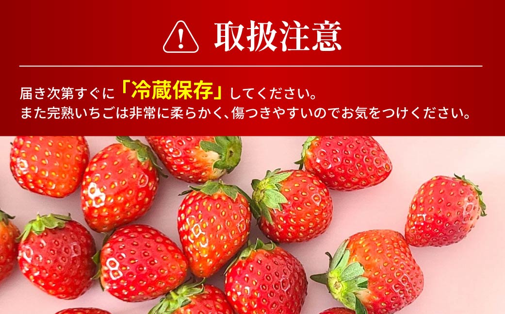 いちご 2種食べ比べ 大容量パック 約500g×2パック 1kg | コク 甘み 朝採れ イチゴ 苺 高品質 たっぷり 新鮮 完熟 旬 ストロベリー 高級 産地直送 果汁 甘い あまい 人気 高評価 高糖度 ごほうび プレゼント 朝採れ やよいひめ ななか 恋みのり あまおとめ あすかルビー 贈答用 あすかファーム 群馬県 前橋市