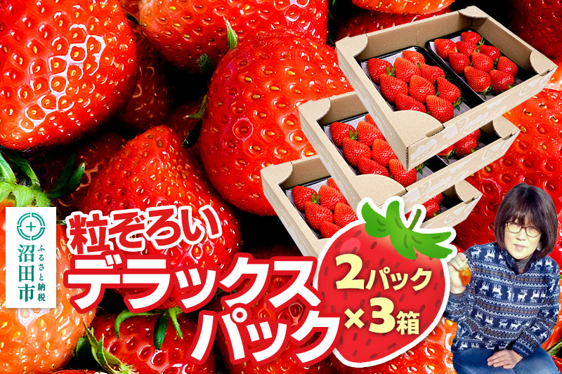 《2025年1月下旬以降発送》粒ぞろい「やよいひめ」デラックスパック 2パック×3箱 山口いちご園