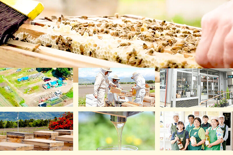 奥利根坂井のはちみつ漬けバラエティセット 柚子・生姜・ナッツ （各160g） 坂井養蜂場 [国産 ハチミツ 蜂蜜 アカシア あかしあ 詰め合わせ お試し 蜂蜜漬け 蜜漬け トッピング]