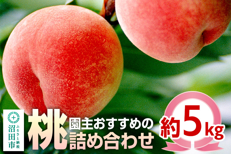 《7月上旬〜7月下旬にお届け》 園主おすすめの桃 約5kg 詰め合わせ 早生品種 ご自宅用 フルーツ王国松井 [夏の味覚 夏の果物 夏のフルーツ 桃 もも モモ momo 旬物 ぴーち ピーチ peach お任せ おまかせ セット]