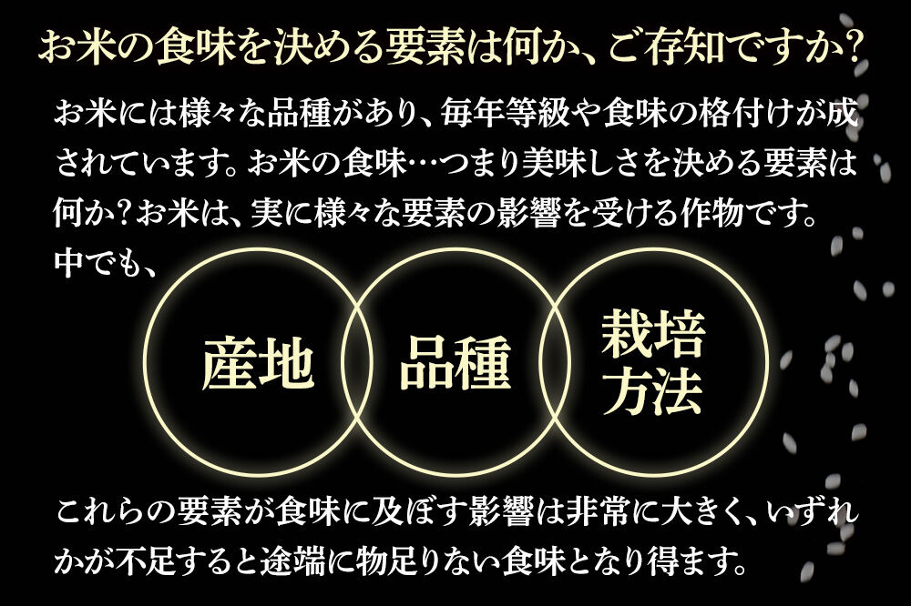 【玄米】《定期便3回》令和7年産 真田のコシヒカリ小松姫 2kg×1袋 金井農園 [こしひかり コシヒカリ 玄米 お米 毎月 定期 3か月 3ヵ月 3カ月 3ケ月]