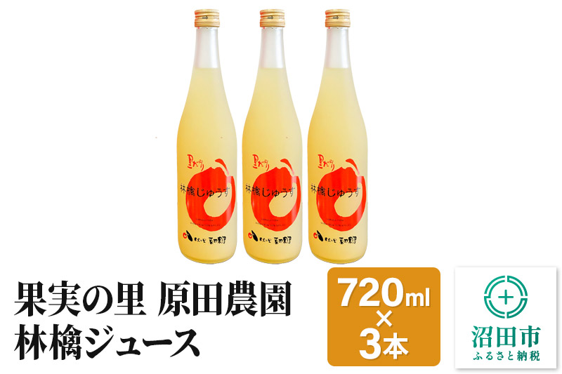 果実の里 原田農園 林檎ジュース 720ml×3本 りんごジュース ストレート100％果汁