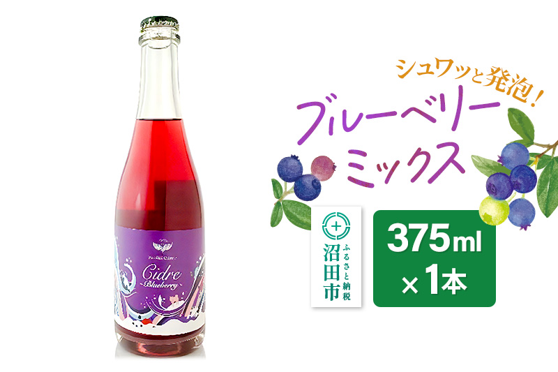 ブルーベリー ミックス 375ml×1本 Fukiware Cidrerie