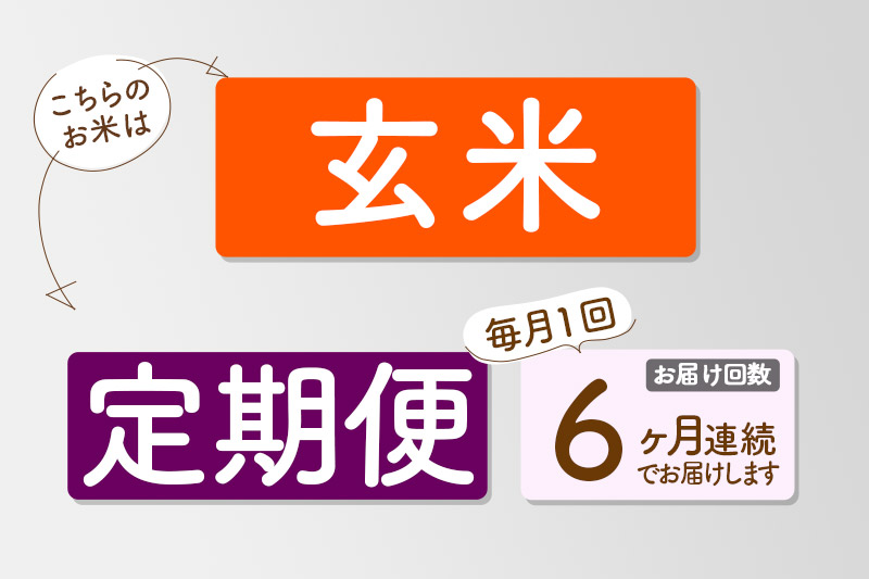 【玄米】《定期便6回》令和6年産 真田のコシヒカリ小松姫 5kg×1袋 金井農園