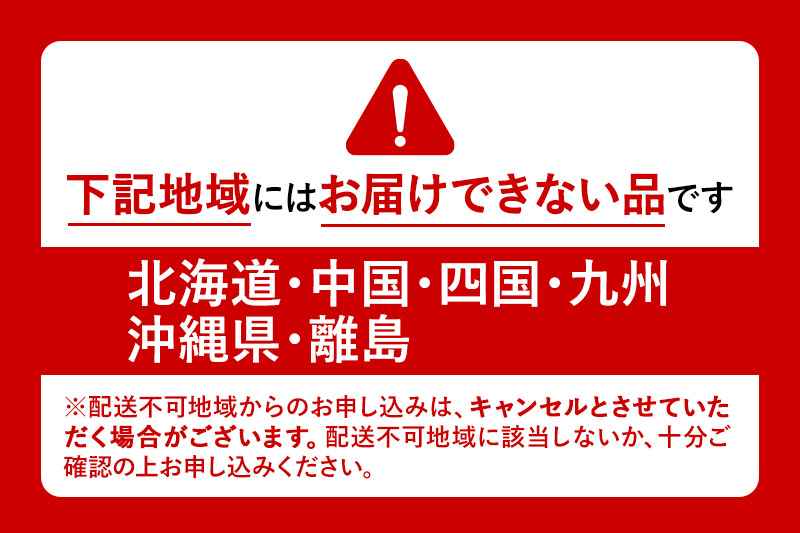 《6月中旬以降発送》先行予約 果実の里 原田農園 さくらんぼ（佐藤錦）約300g