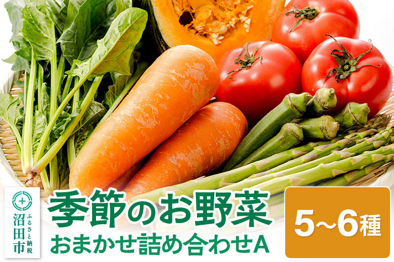 季節のお野菜 おまかせセット A（5〜6種類）詰め合わせ [【野菜セット】お任せ おまかせ 野菜 やさい ヤサイ 詰め合わせ セット]