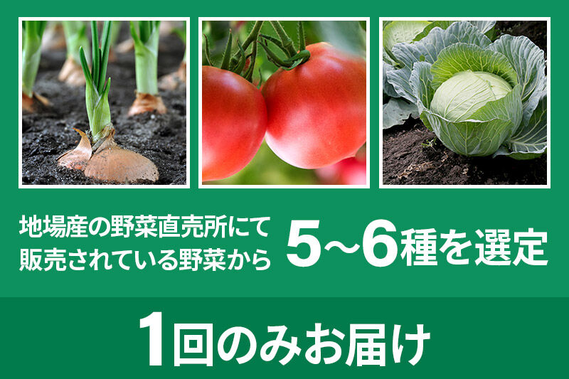 季節のお野菜 おまかせセット A（5〜6種類）詰め合わせ [【野菜セット】お任せ おまかせ 野菜 やさい ヤサイ 詰め合わせ セット]