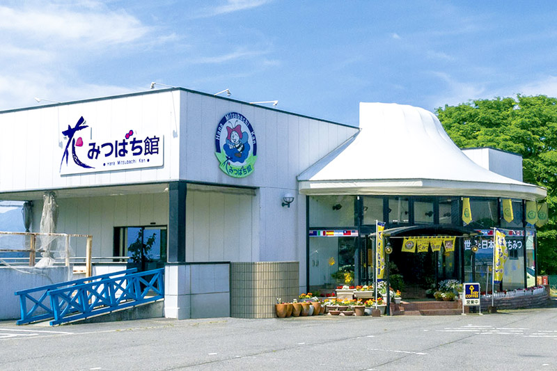 繧「繧ォ繧キ繝、繝サ豐シ逕ー蝓弱&縺上i縺ッ縺。縺ソ縺、繧サ繝繝 蜷250g 闃ア縺ソ縺、縺ー縺。鬢ィ
